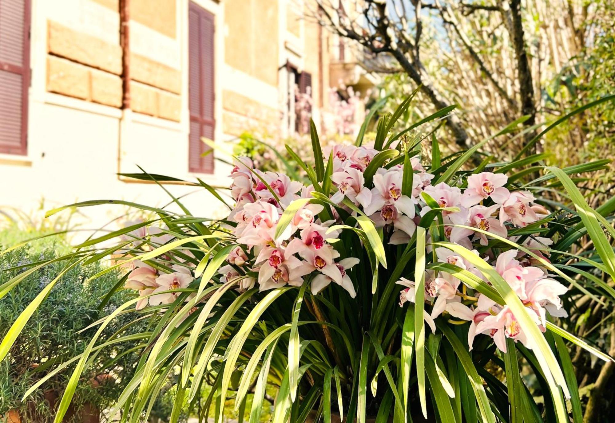 Villa Leonardo Roma Esterno foto