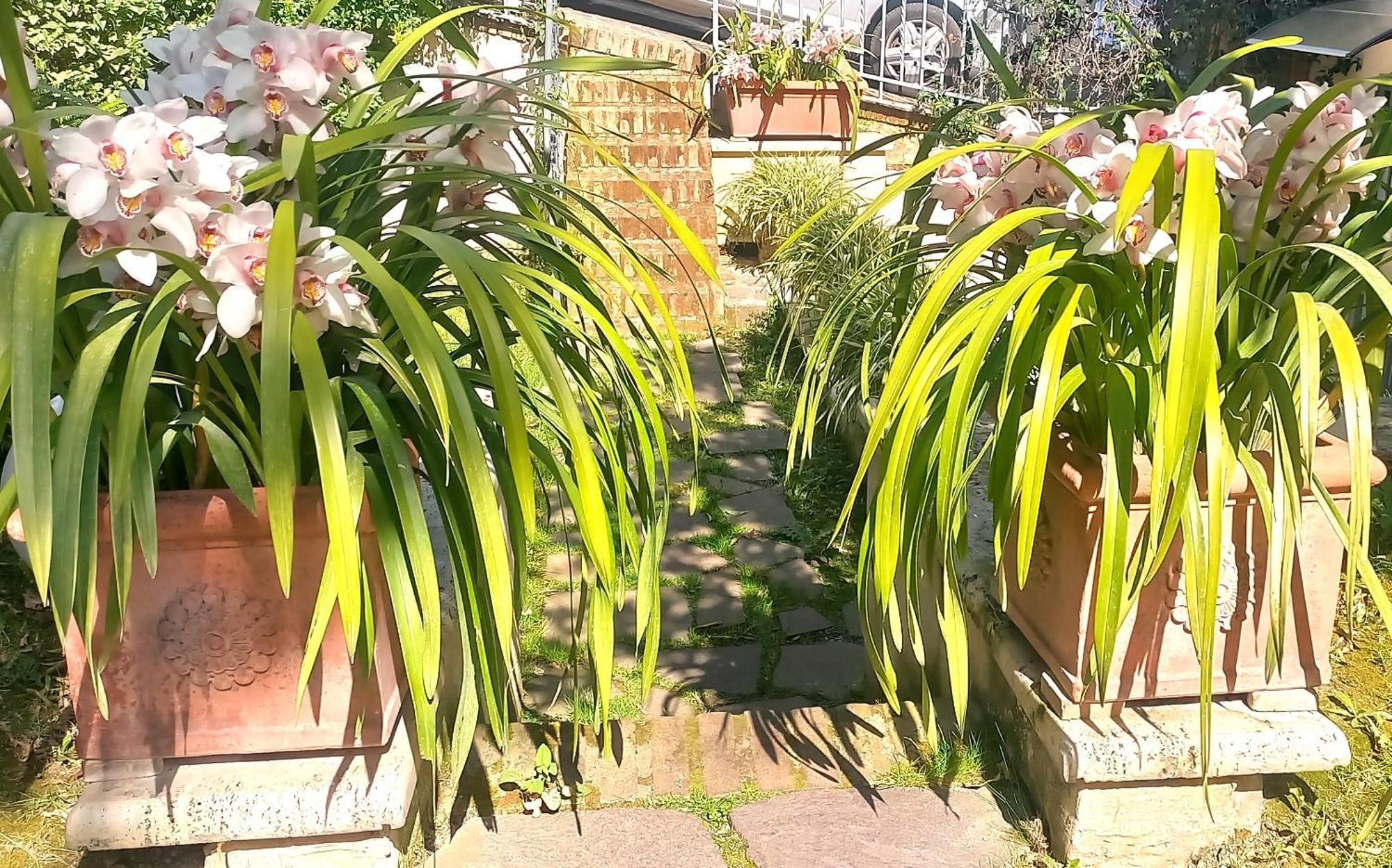 Villa Leonardo Roma Esterno foto